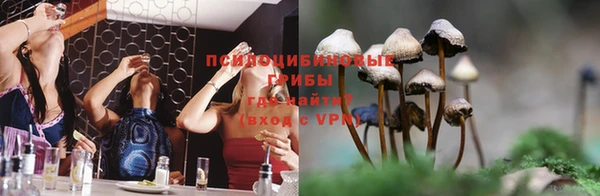 соль курить ск Алексеевка