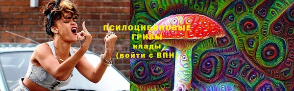 крисы Абинск