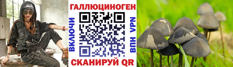 купить наркоту  Вичуга  Псилоцибиновые грибы Psilocybine cubensis 