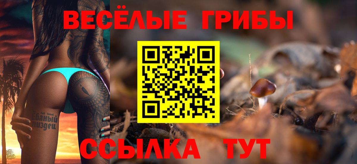 Галлюциногенные грибы прущие грибы  Псилоцибиновые грибы ЛСД  Вход с VPN  Вичуга 